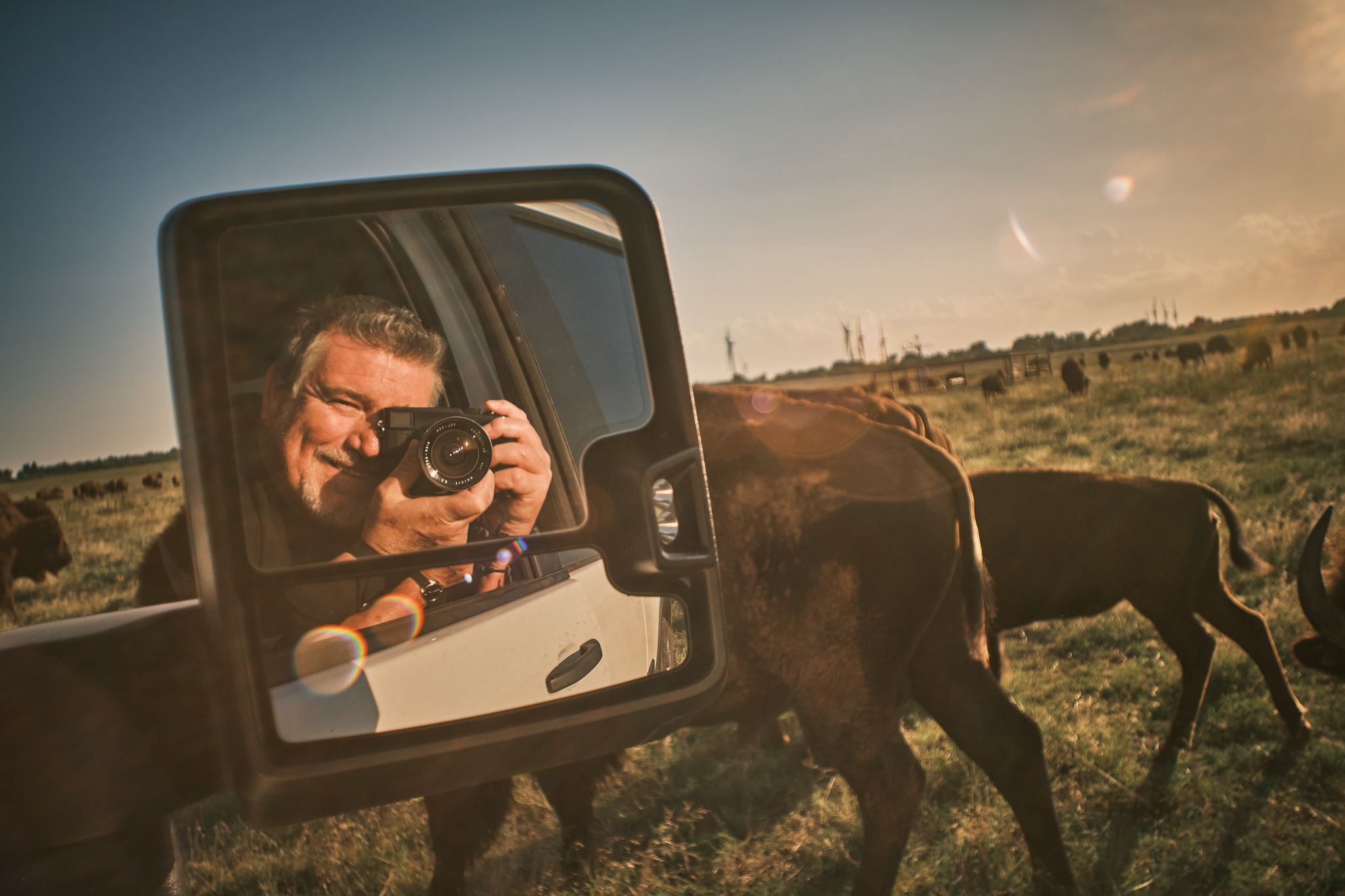 American Buffalo Experience